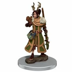 WizKids Role-playing Miniatures Icons Of The Realms: Premium Figures - Human Druid