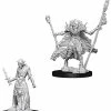 WizKids Pathfinder: Deep Cuts Unpainted Miniatures - Ghouls Role-playing Miniatures