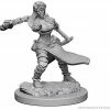 WizKids Nolzur's Marvelous Unpainted Miniatures - Human Female Monk Role-playing Miniatures
