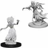 WizKids Role-playing Miniatures Nolzur's Marvelous Unpainted Miniatures - Wraith & Specter