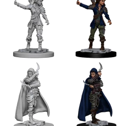WizKids Role-playing Miniatures Pathfinder: Deep Cuts Unpainted Miniatures - Human Female Rogue (72603)