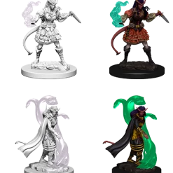 WizKids Nolzur's Marvelous Unpainted Miniatures - Tiefling Female Sorcerer (73202) Role-playing Miniatures