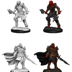 WizKids Nolzur's Marvelous Unpainted Miniatures - Dragonborn Female Fighter (90302) Role-playing Miniatures