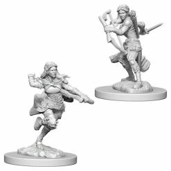 WizKids Nolzur's Marvelous Unpainted Miniatures - Air Genasi Female Rogue