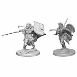 WizKids Role-playing Miniatures Pathfinder: Deep Cuts Unpainted Miniatures - Human Female Paladin