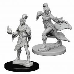 NECA Role-playing Miniatures Pathfinder: Deep Cuts Unpainted Miniatures - Elf Female Sorceror