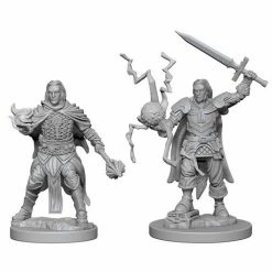 WizKids Role-playing Miniatures Pathfinder: Deep Cuts Unpainted Miniatures - Human Male Cleric