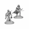 WizKids Pathfinder: Deep Cuts Unpainted Miniatures - Human Female Bard