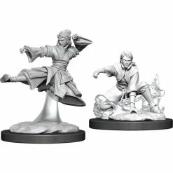 WizKids Role-playing Miniatures Nolzur's Marvelous Unpainted Miniatures - Female Human Monk