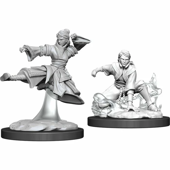 WizKids Role-playing Miniatures Nolzur's Marvelous Unpainted Miniatures - Female Human Monk 3 WizKids Role-playing Miniatures Nolzur's Marvelous Unpainted Miniatures - Female Human Monk