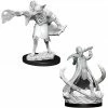 WizKids Nolzur's Marvelous Unpainted Miniatures - Arcanaloth & Ultroloth