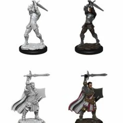 WizKids Role-playing Miniatures Nolzur's Marvelous Unpainted Miniatures - Male Human Paladin