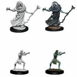 WizKids Role-playing Miniatures Nolzur's Marvelous Unpainted Miniatures - Sea Hag & Bheur Hag