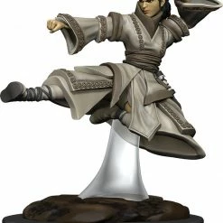 WizKids Icons Of The Realms: Premium Figures - Human Monk Female Role-playing Miniatures