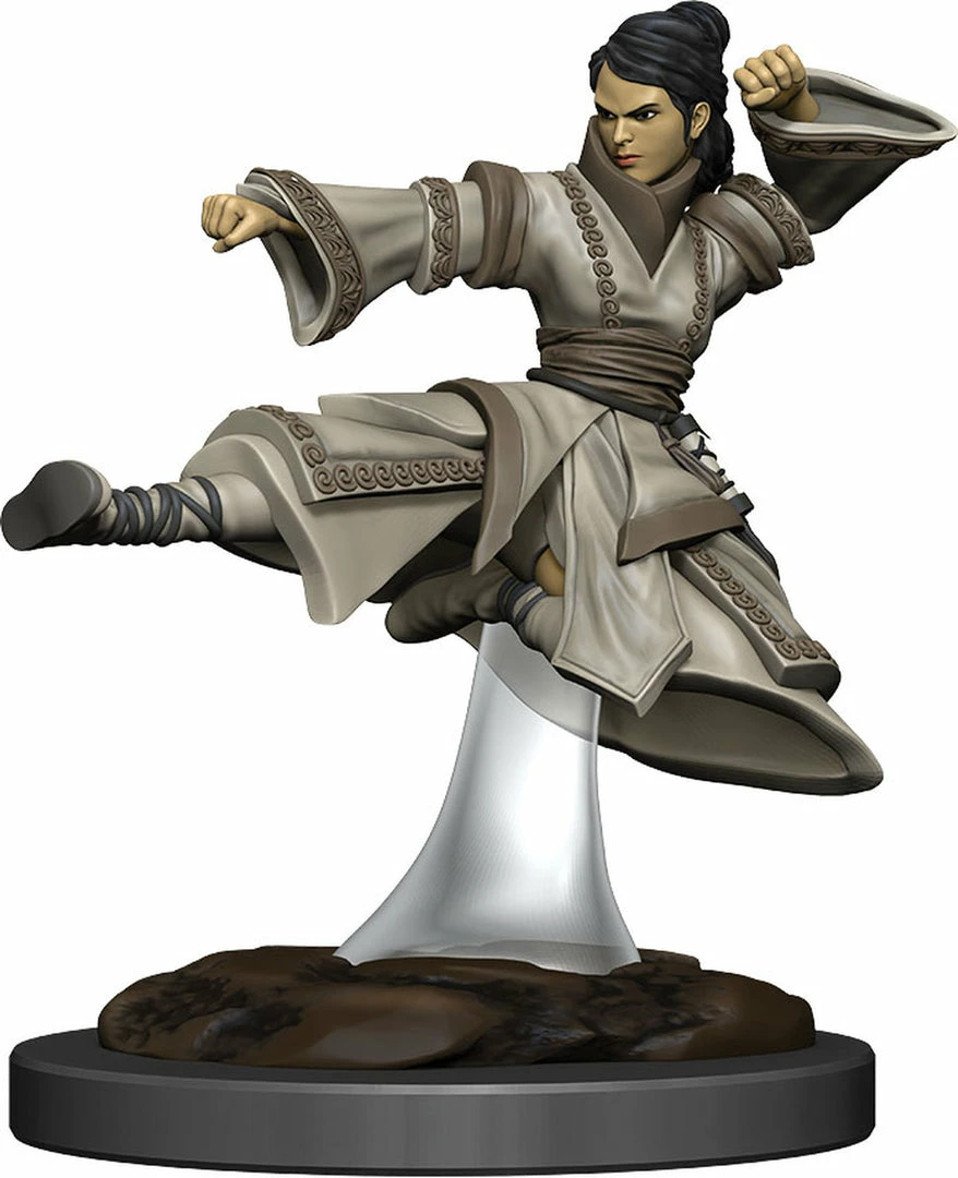 WizKids Icons Of The Realms: Premium Figures - Human Monk Female Role-playing Miniatures 3 WizKids Icons Of The Realms: Premium Figures - Human Monk Female Role-playing Miniatures
