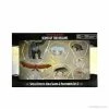 WizKids Role-playing Miniatures Icons Of The Realms: Spell Effects - Wild Shape & Polymorph Set 2