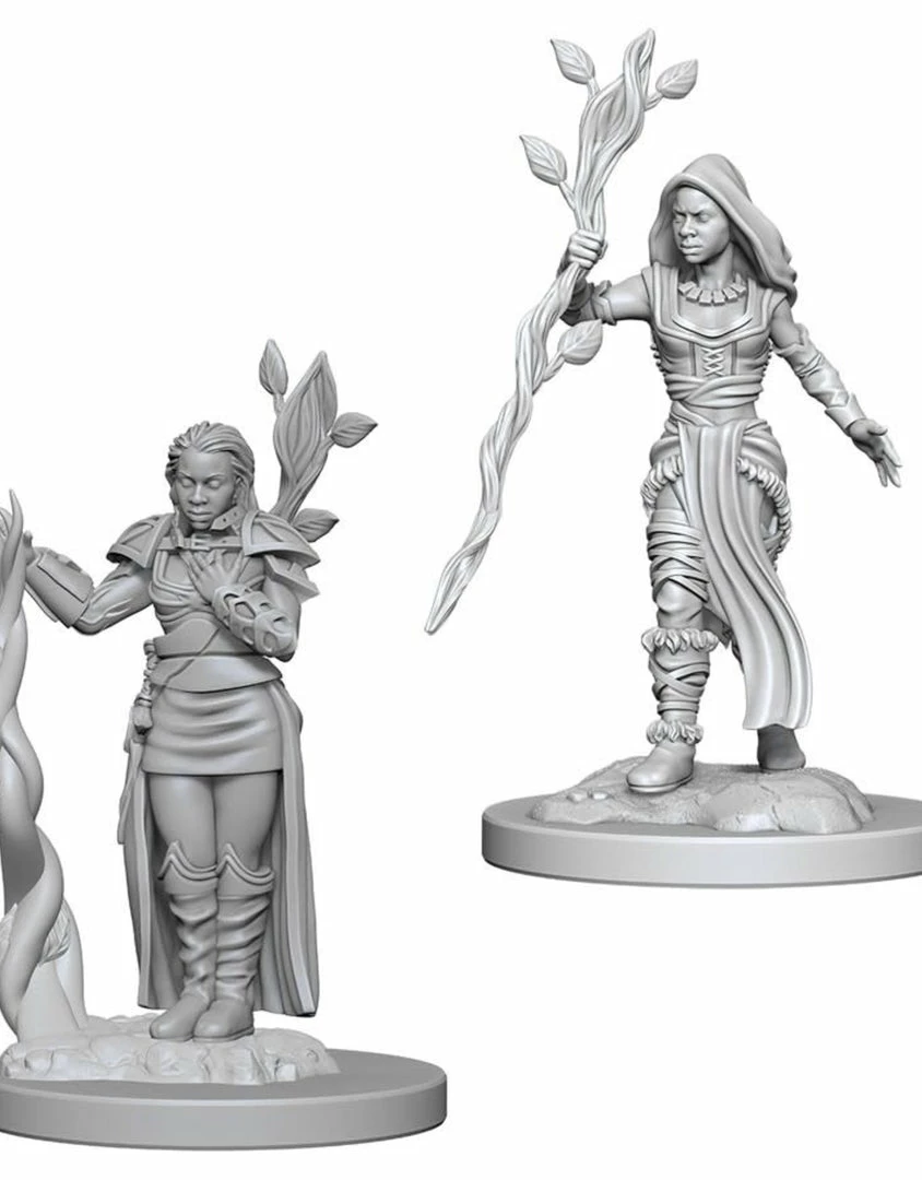 WizKids Nolzur's Marvelous Unpainted Miniatures - Human Female Druid 3 WizKids Nolzur's Marvelous Unpainted Miniatures - Human Female Druid