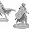 WizKids Pathfinder: Deep Cuts Unpainted Miniatures - Elf Male Paladin