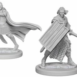 WizKids Pathfinder: Deep Cuts Unpainted Miniatures - Elf Male Paladin