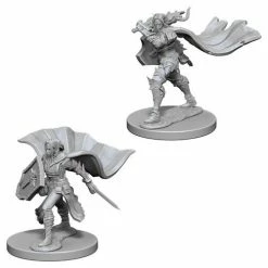WizKids Role-playing Miniatures Pathfinder: Deep Cuts Unpainted Miniatures - Elf Female Paladin