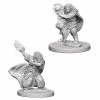 WizKids Nolzur's Marvelous Unpainted Miniatures - Dwarf Female Wizard Role-playing Miniatures