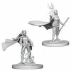 WizKids Role-playing Miniatures Nolzur's Marvelous Unpainted Miniatures - Elf Female Druid