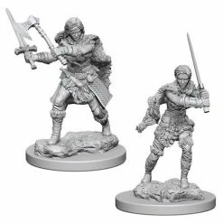 WizKids Role-playing Miniatures Nolzur's Marvelous Unpainted Miniatures - Human Female Barbarian