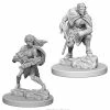 WizKids Nolzur's Marvelous Unpainted Miniatures - Drow