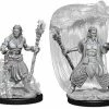 WizKids Nolzur's Marvelous Unpainted Miniatures - Water Genasi Male Druid