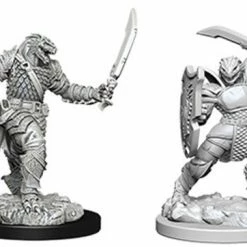 WizKids Nolzur's Marvelous Unpainted Miniatures - Dragonborn Female Paladin Role-playing Miniatures