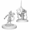 WizKids Pathfinder: Deep Cuts Unpainted Miniatures - Gnome Female Druid