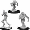 WizKids Role-playing Miniatures Nolzur's Marvelous Unpainted Miniatures - Blights
