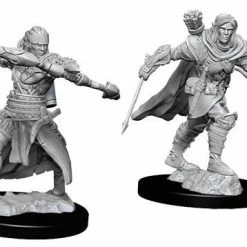 WizKids Pathfinder: Deep Cuts Unpainted Miniatures - Half-Elf Male Fighter