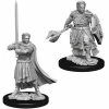 WizKids Nolzur's Marvelous Unpainted Miniatures - Male Human Cleric Role-playing Miniatures