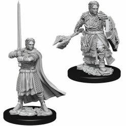 WizKids Nolzur's Marvelous Unpainted Miniatures - Male Human Cleric Role-playing Miniatures