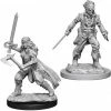 WizKids Nolzur's Marvelous Unpainted Miniatures - Vampire Hunters