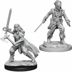 WizKids Nolzur's Marvelous Unpainted Miniatures - Vampire Hunters