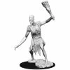 WizKids Nolzur's Marvelous Unpainted Miniatures - Stone Giant