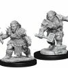 WizKids Role-playing Miniatures Pathfinder: Deep Cuts Unpainted Miniatures - Dwarf Female Barbarian