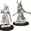 WizKids Nolzur's Marvelous Unpainted Miniatures - Female Human Druid Role-playing Miniatures