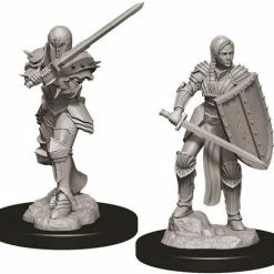 WizKids Nolzur's Marvelous Unpainted Miniatures - Female Human Fighter Role-playing Miniatures