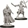 WizKids Nolzur's Marvelous Unpainted Miniatures - Male Elf Paladin Role-playing Miniatures