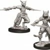WizKids Nolzur's Marvelous Unpainted Miniatures - Female Tabaxi Rogue Role-playing Miniatures