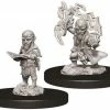 WizKids Pathfinder: Deep Cuts Unpainted Miniatures - Gnome Male Sorcerer Role-playing Miniatures