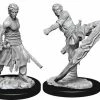 WizKids Nolzur's Marvelous Unpainted Miniatures - Male Half-Elf Monk