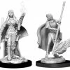 WizKids Pathfinder: Deep Cuts Unpainted Miniatures - Human Female Oracle