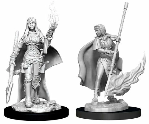 WizKids Pathfinder: Deep Cuts Unpainted Miniatures - Human Female Oracle 3 WizKids Pathfinder: Deep Cuts Unpainted Miniatures - Human Female Oracle