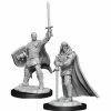 NECA Nolzur's Marvelous Unpainted Miniatures - Human Paladin Male (90136)