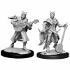 NECA Nolzur's Marvelous Unpainted Miniatures - Tiefling Bard Female