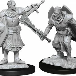 WizKids Pathfinder: Deep Cuts Unpainted Miniatures - Human Male Champion Role-playing Miniatures